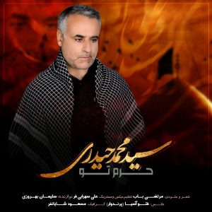 سید محمد حیدری حرم تو